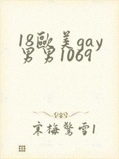 18欧美gay男男1069