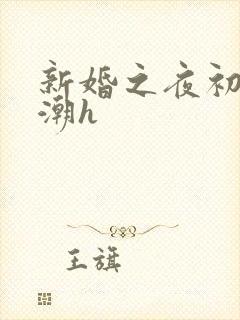 新婚之夜初尝高潮h