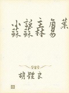 小说主角叶枫白苏苏林易