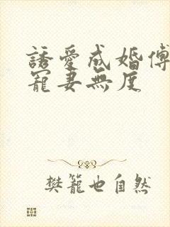 诱爱成婚傅先生宠妻无度