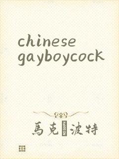chinesegayboycock