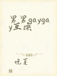 男男gaygay互操