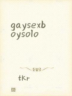 gaysexboysolo封面