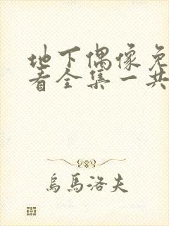 地下偶像免费观看全集一共多少集封面