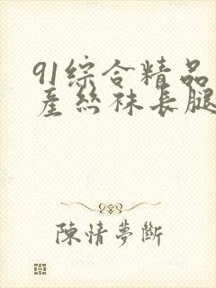 91综合精品国产丝袜长腿久久久