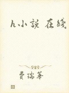 h小说 在线