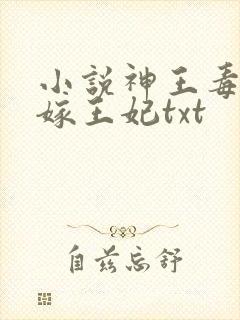 小说神王毒宠二嫁王妃txt