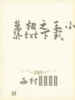 万相之王小说全集txt下载封面