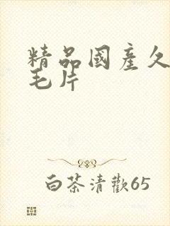 精品国产久久久毛片