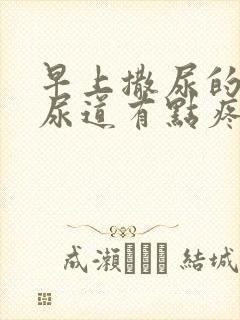 早上撒尿的时候尿道有点疼