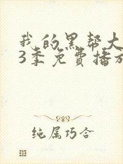 我的黑帮大佬第3季免费播放在线观看