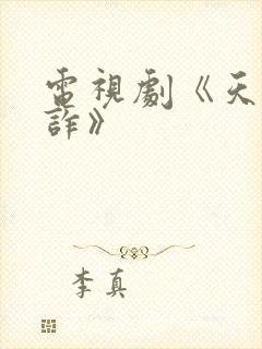 电视剧《天下无诈》