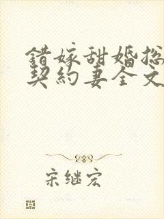 错嫁甜婚总裁的契约妻全文封面