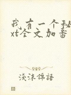 我有一个秘密txt全文加番外