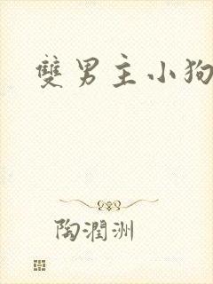 双男主小狗封面