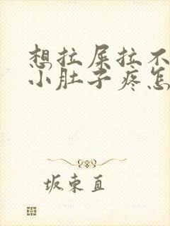 想拉屎拉不出来小肚子疼怎么回事