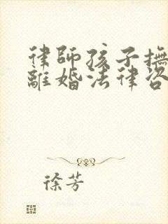 律师孩子抚养权离婚法律咨询