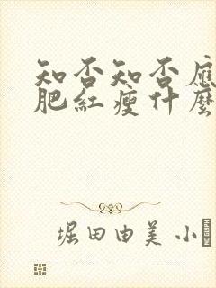 知否知否应是绿肥红瘦什么意思李清照