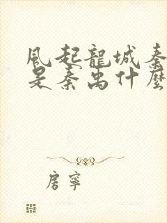 风起龙城秦子沫是秦禹什么人封面