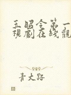 玉昭令第一季电视剧在线观看免费谍战迷