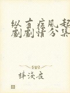 纵有疾风起电视剧剧情分集介绍