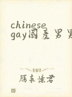 chinesegay国产男男