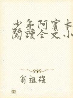 少年阿宾本全文阅读全文小说