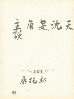 主角是沈天的小说