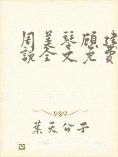 周美琴顾建军小说全文免费阅读最新