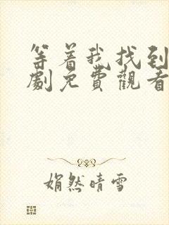 等着我找到我短剧免费观看