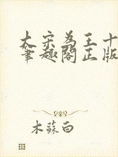 大宋为王十三年笔趣阁正版封面