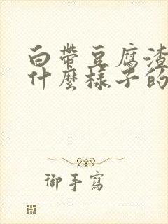 白带豆腐渣状是什么样子的封面