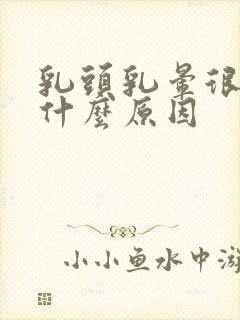 乳头乳晕很痒是什么原因