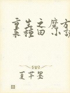 重生之魔方空间来种田 小说