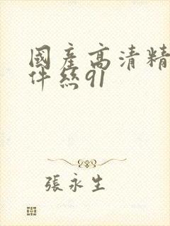 国产高清精品软件丝91