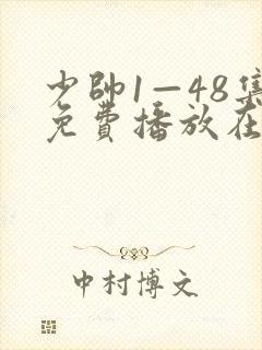 少帅1—48集免费播放在线观看