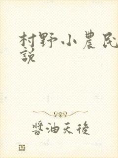 村野小农民 小说封面