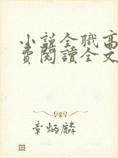 小说全职高手免费阅读全文无窗口