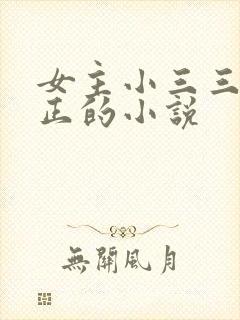 女主小三三观不正的小说