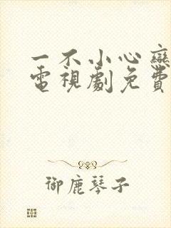 一不小心恋爱了电视剧免费观看完整版封面