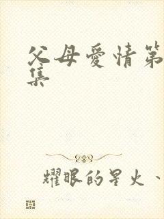 父母爱情第34集