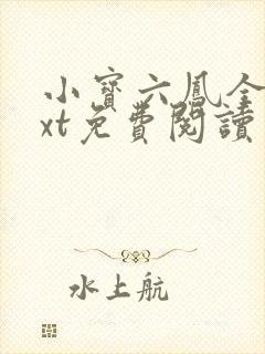 小宝六凤全本txt免费阅读