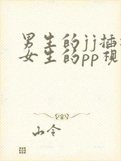 男生的jj插进女生的pp视频