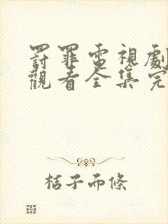 罚罪电视剧免费观看全集完整版国语高清