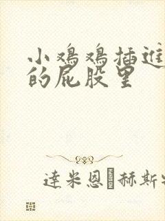 小鸡鸡插进女人的屁股里