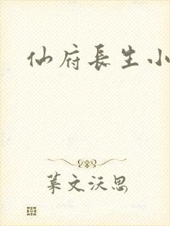 仙府长生小说的封面