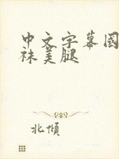 中文字幕国产丝袜美腿