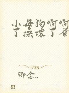 小母狗啊啊太大了操坏了爸爸