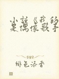 小说《我的房东是偶像歌手》