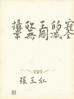 摄政王的宠妻日常无删减全本阅读封面